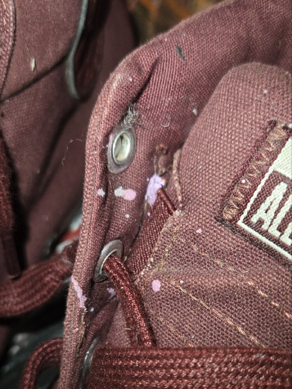 Converse High Top Sneakers in Burgundy - Picture 6 of 12
